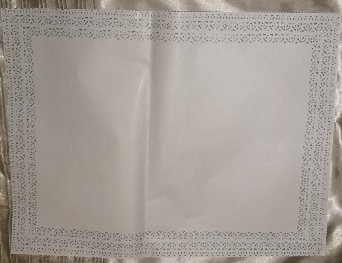 Blonda para Bandeja rectangular N°15